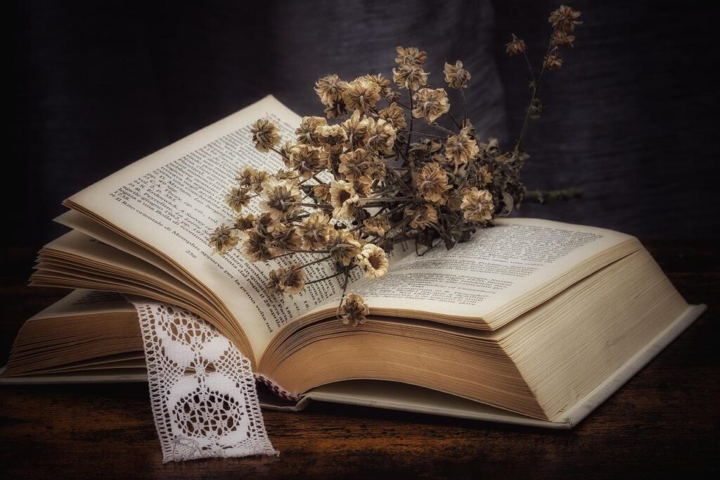 book, dried flowers, daisies-6037943.jpg